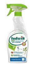 LUDWIK Ekologiczny pianka do czyszczenia łazienki 750ml