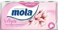 Kwitnąca Magnolia