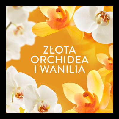 LENOR Perełki Zapachowe do Prania Gold Orchid