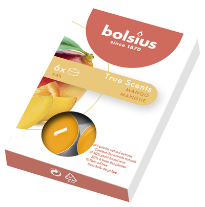 BOLSIUS podgrzewacze mango 6 szt.