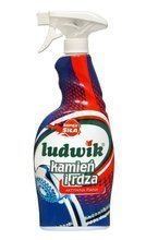 LUDWIK Kamień i Rdza aktywna piana 750 ml