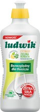 LUDWIK Cytrusy Zielona Herbata płyn do naczyń 450g