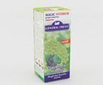 GENERAL FRESH 40ML ZAPAS WINOGRONO -SZYSZKA-