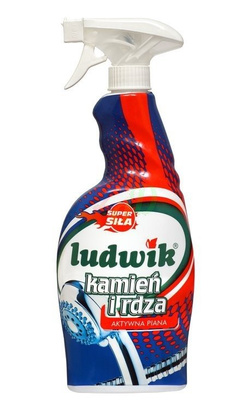 LUDWIK Kamień i Rdza aktywna piana 750 ml